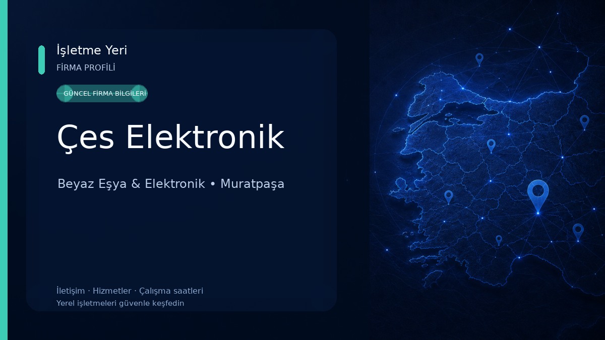 Çes Elektronik